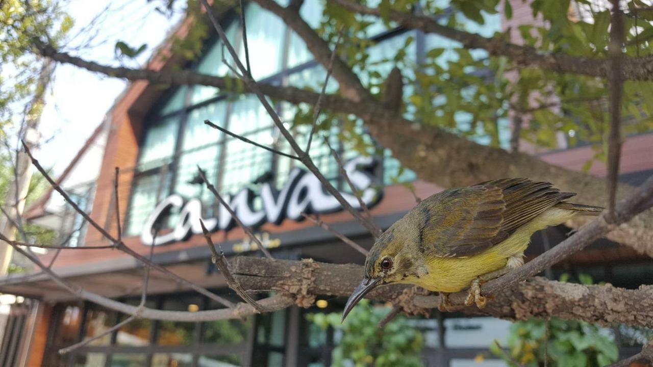 Canvas Family Home Τρατ Εξωτερικό φωτογραφία